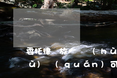 委托律師放棄辯護(hù)可以嗎(辯護(hù)權(quán)可以放棄嗎)