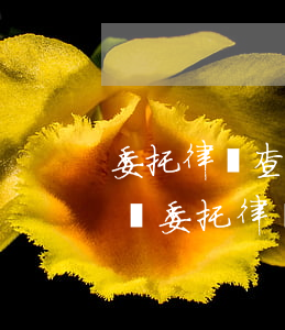 委托律師查個人財產(chǎn)一般多少錢(委托律師查他人名下財產(chǎn))