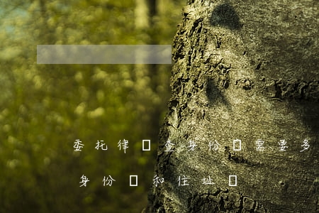 委托律師查身份證需要多少錢(能委托律師查身份證和住址嗎)