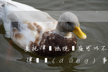 委托律師法院開庭可以不到嗎(法院開庭委托律師當(dāng)事人可以不出庭嗎?)