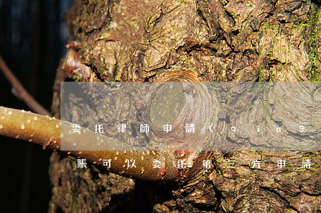 委托律師申請(qǐng)停息掛賬(停息掛賬可以委托第三方申請(qǐng)嗎)