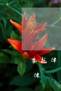 委托律師發(fā)律師函大概需要多少錢(律師幫忙發(fā)律師函多少錢)