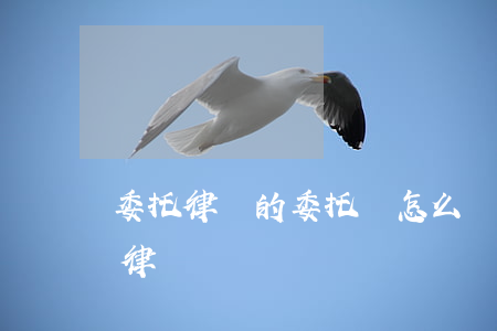 委托律師的委托書怎么寫(委托書自己寫還是律師寫)