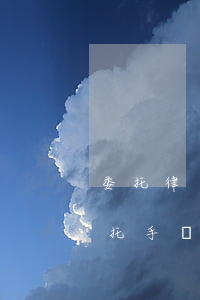 委托律師的流程(律師事務(wù)所辦理委托手續(xù)流程)