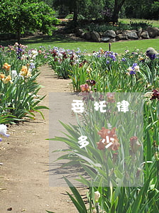 委托律師要多少錢(債務(wù)委托律師要多少錢)