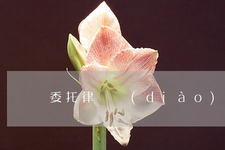 委托律師調(diào)取個人信息多少錢