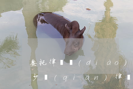 委托律師調(diào)取戶籍信息需要多少錢(qián)(律師調(diào)取戶籍信息費(fèi)用)