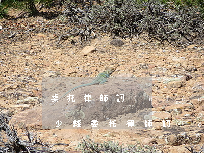 委托律師調(diào)查被告的信息要多少錢(委托律師調(diào)查一個(gè)人的信息要多少錢)
