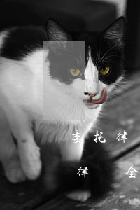 委托律師財產(chǎn)保全需要多少錢(律師全程委托需要多少錢)