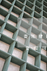 委托律師起訴欠錢不還(欠錢不還委托律師能要得回來嗎)