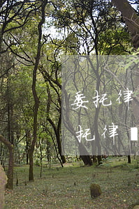 委托律師起訴離婚律師可以私底下收錢嗎(委托律師打離婚官司要多少錢)