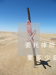 委托律師起訴離婚要多少錢(委托律師離婚需要多少錢)