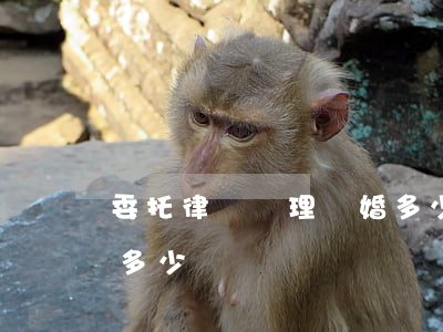 委托律師辦理離婚多少錢(委托律師辦理離婚多少錢)
