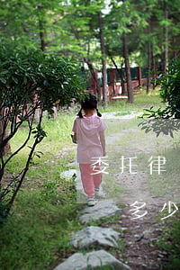 委托律師辦離婚要多少錢(離婚起訴委托律師費多少錢)