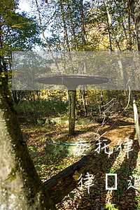 委托律師追債如何收取費(fèi)用(委托律師追欠款費(fèi)用)