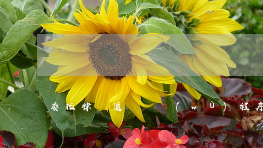 委托律師追討債務(wù)程序