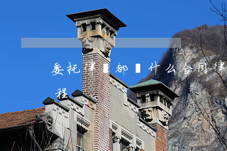 委托律師都簽什么合同(律師委托合同簽訂過程)