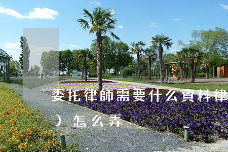 委托律師需要什么資料(律師委托書(shū)怎么弄)