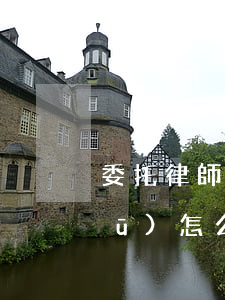 委托律師需要什么資料(找律師委托書(shū)怎么寫(xiě))