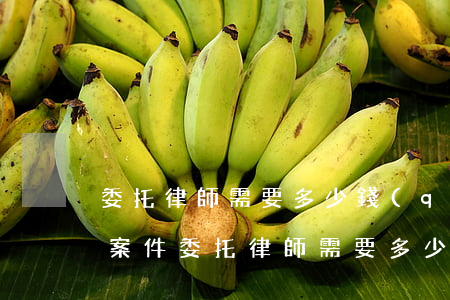 委托律師需要多少錢(qián)鄭州(一般案件委托律師需要多少錢(qián))