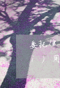 委托律師需要多少錢鄭州(鄭州律師費(fèi)用收取標(biāo)準(zhǔn))