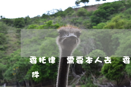 委托律師需要本人去嗎(委托律師需要什么證件)