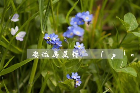 委托房屋拆遷評(píng)估合同
