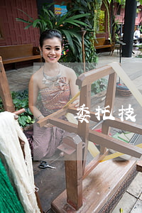 委托技術(shù)開發(fā)合同