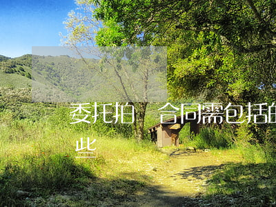 委托拍賣合同需包括的內(nèi)容有哪些