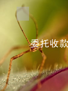 委托收款協(xié)議