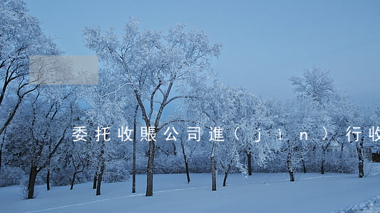 委托收賬公司進(jìn)行收賬違法嗎