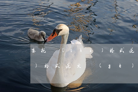 委托書(shū)格式范文(委托書(shū)格式范文個(gè)人)