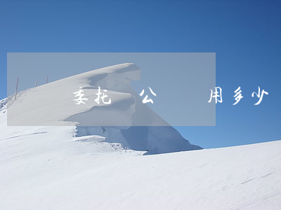 委托書公證費用多少錢(委托書公證一次多少錢)