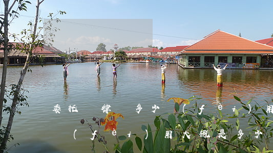委托書律師多少費(fèi)用(委托律師的費(fèi)用大概是多少)