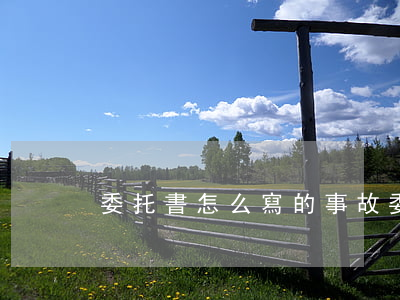 委托書怎么寫的(事故委托書怎么寫的)