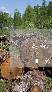 委托書應(yīng)該怎么寫(委托書怎么寫的正確方法)