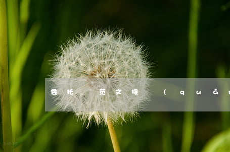 委托書 范文(授權(quán)委托書范文)