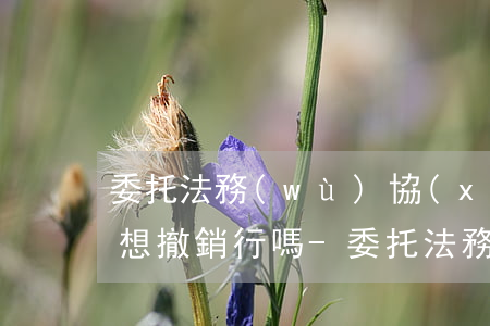 委托法務(wù)協(xié)商還款中間想撤銷行嗎-委托法務(wù),協(xié)商分期怎么做