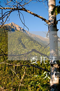 委托法務(wù)部門處理信用卡逾期華夏-欠信用卡法務(wù)部打電話