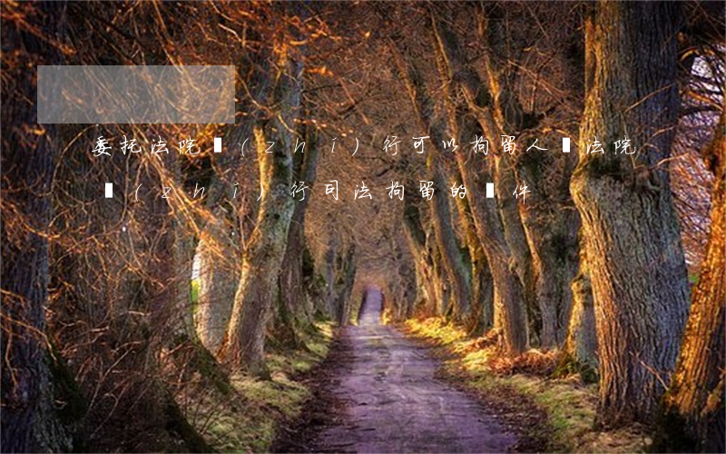 委托法院執(zhí)行可以拘留人嗎(法院執(zhí)行司法拘留的條件)