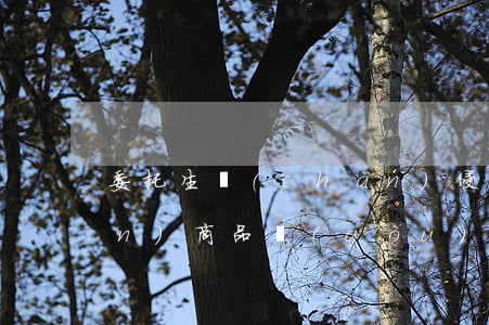 委托生產(chǎn)侵犯專利權(quán)商品構(gòu)成犯罪嗎