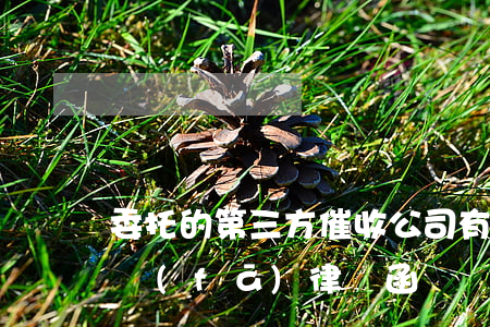 委托的第三方催收公司有權(quán)利發(fā)律師函嗎?