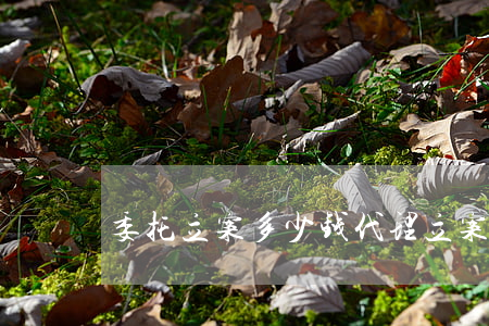 委托立案多少钱(代理立案委托书)