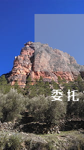 委托貸款逾期催收通知(逾期貨款催收函)