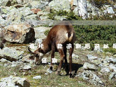 委托貸款逾期后可以展期(貸款逾期了可以申請延期嗎)