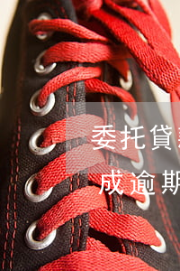 委托貸款逾期會不良嗎(因為貸款公司出錯造成逾期)
