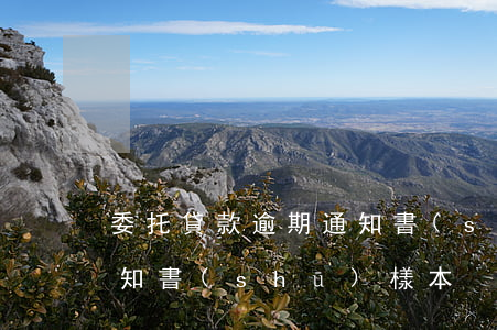 委托貸款逾期通知書(shū)(貸款逾期通知書(shū)樣本)