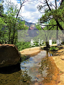 委托貸款逾期銷戶流程