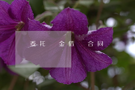 委托資金借貸合同