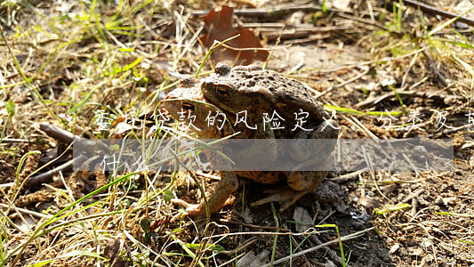 委托贷款的风险定义、分类及其防范措施是什么